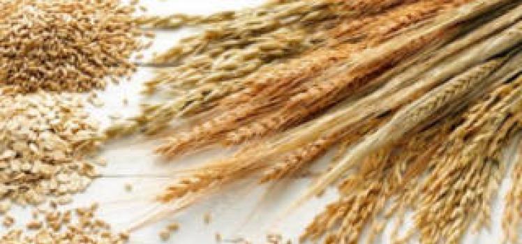Alergia la cereale și tratamentul acesteia